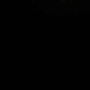 Meet your Posher, Leonardo